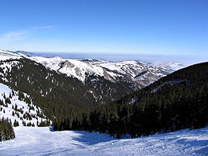 Ledenice: Spada u veoma teške staze. U sezoni 2011/2012. ski lift Ledenice je, na radost svih skijaša, posle punih 18 godina ponovo u funkciji. Poslednja