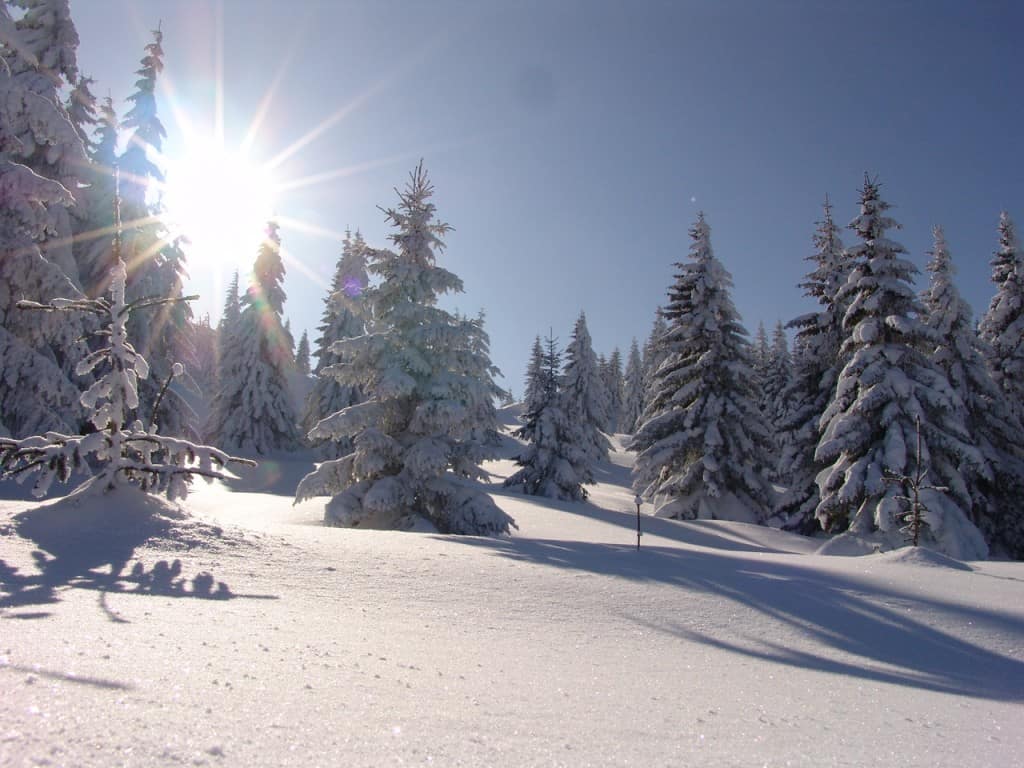 Sretenjski praznici – Kopaonik zove – Ljubitelji snega požurite: Kopaonik – skijaška prestonica Srbije i jedan od najpopularnijih i najkvalitetnijih ski centara na Balkanu.